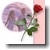 Blog Amour