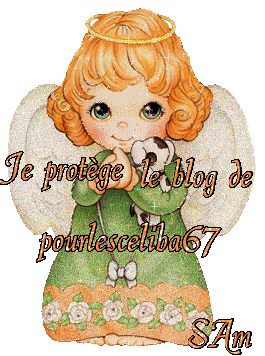Image h�berg�e par Vip-Blog.com