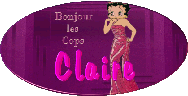 Image h�berg�e par Vip-Blog.com