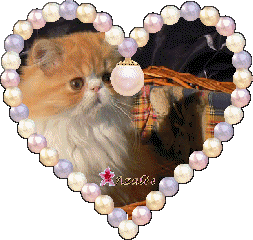 Image h�berg�e par Vip-Blog.com