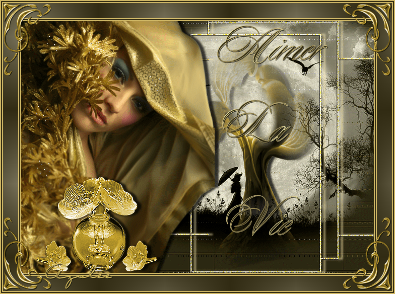 Image h�berg�e par Vip-Blog.com