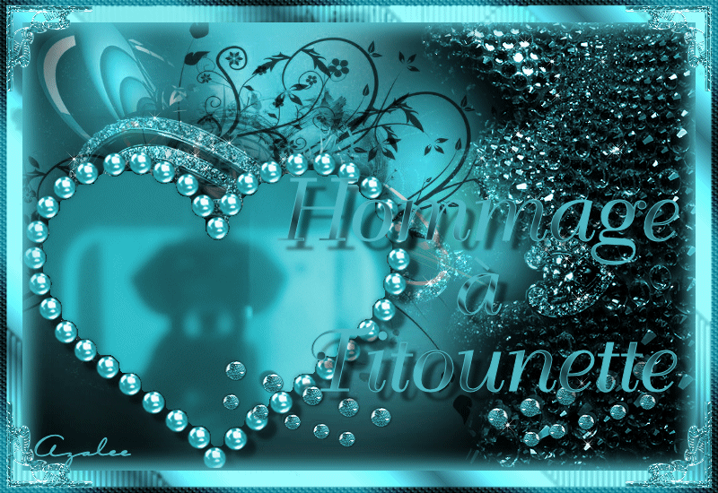 Image h�berg�e par Vip-Blog.com