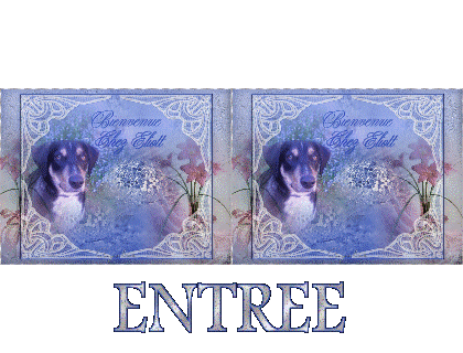 par Eliotte