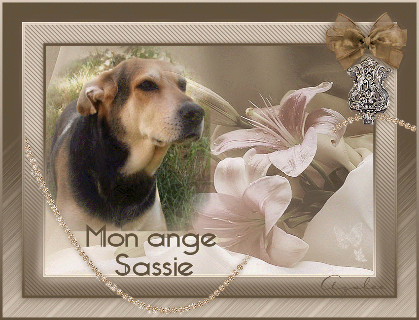 Image h�berg�e par Vip-Blog.com