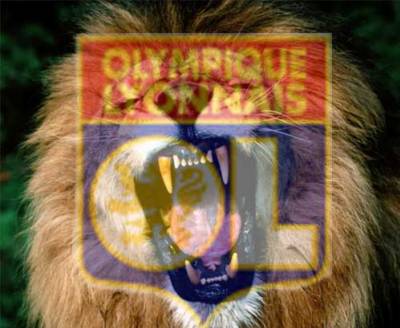 � Le Lion � par fandelyon