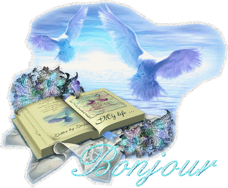 Bonjour tout le monde