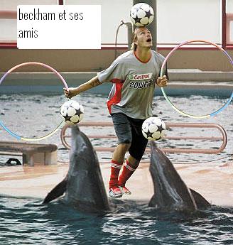 � beckham et ses amis � par zi5zou