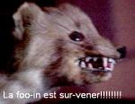 La Fouine