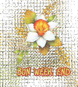 Bonjour tout le monde