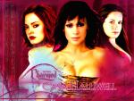 Love de Charmed
