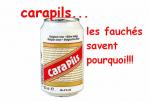 nooooooooooon mitedi carapils