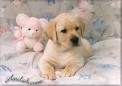 Bienvenue, welcome (lachez vos coms svp)