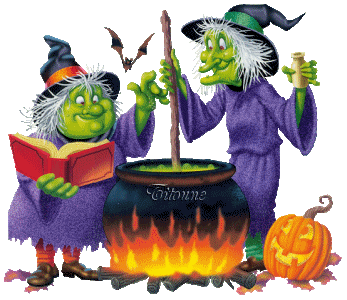 � uol � par jouki