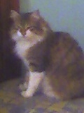 Ma princesse