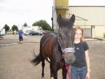 Les chevaux de Dechy