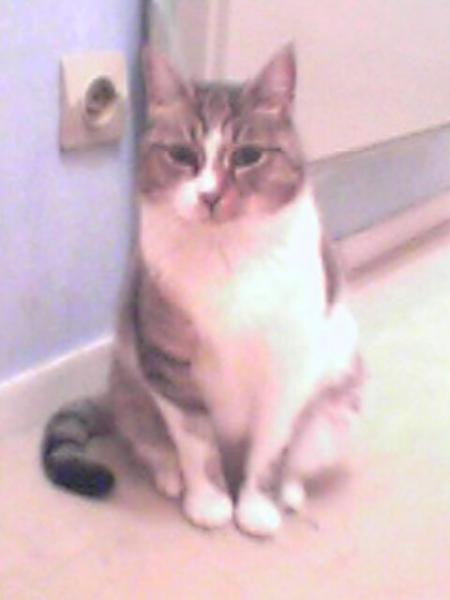 Ma Mina fait la pose.