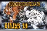 Le nouveau blog des tribaliens