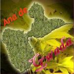 mes tats (de) corps