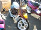 mon petit 03 ouy a plein de baston