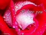 mimi_loveuse