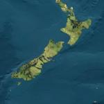 frog in New Zealand