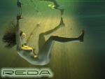 reda===>peace