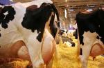LES CH'TIS AU SALON DE L AGRICULTURE