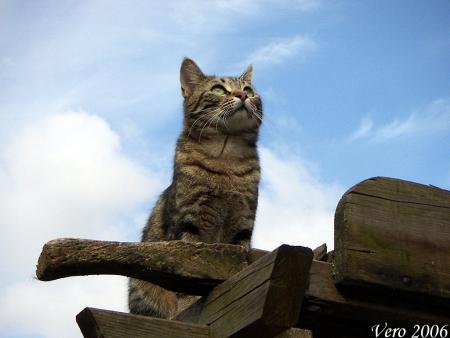 Dans les nuages...