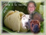 Nos sharpeis Mia et Feng