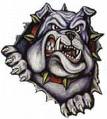 Bulldozer.Kennel