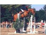 ECURIE DES LACS
