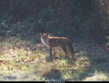 Photos r�alis�es par Guy LELONG