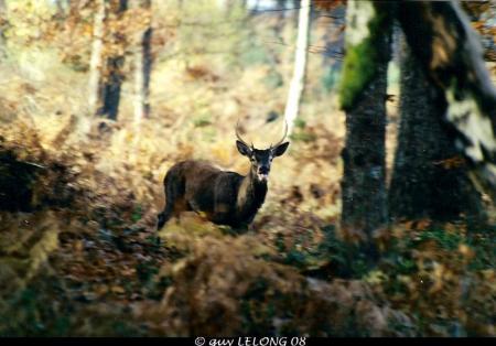 Photos r�alis�es par Guy LELONG