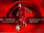 habib