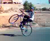 Bicala en Force