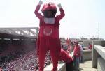 slt tou les wydadi