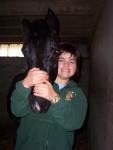 surabay et guilers equitation