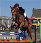 Horse's Dream : * Seul les supporters savent pourquoi ! ^^ * 