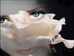 La vie tout simplement