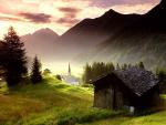 mohsin_loulou