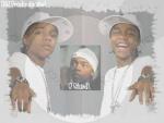 bow wow