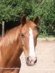 fanny de montescot en live pour vous exclusivement