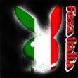 brsil & italie & autre