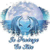13or de ma vie