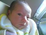 Lucas