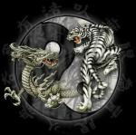 club shaolin