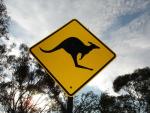 Une année au pays des kangourous!
