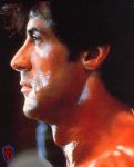 Bienvenue dans LE blog consacrée à Sylvester Stallone. (Welcome in the blog of Sly Stallone).