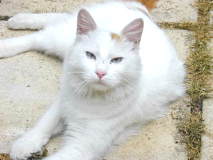 « J£ù×-¢LÍÞ-ÀnîMÅtÌÕñ$ » par maudulux