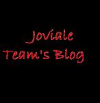 THE joviale team's blog